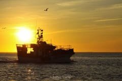 Sunset in Ria Formosa - Olhão