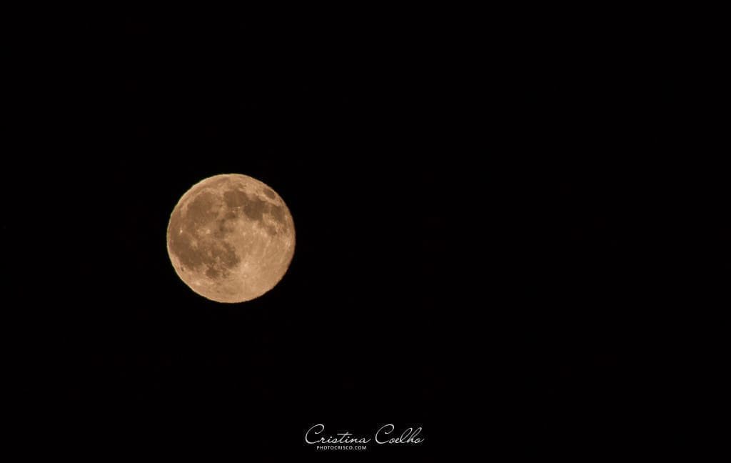 A full moon is seen in the dark sky.