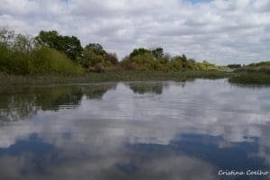 A day on the Tagus river - Escaroupim